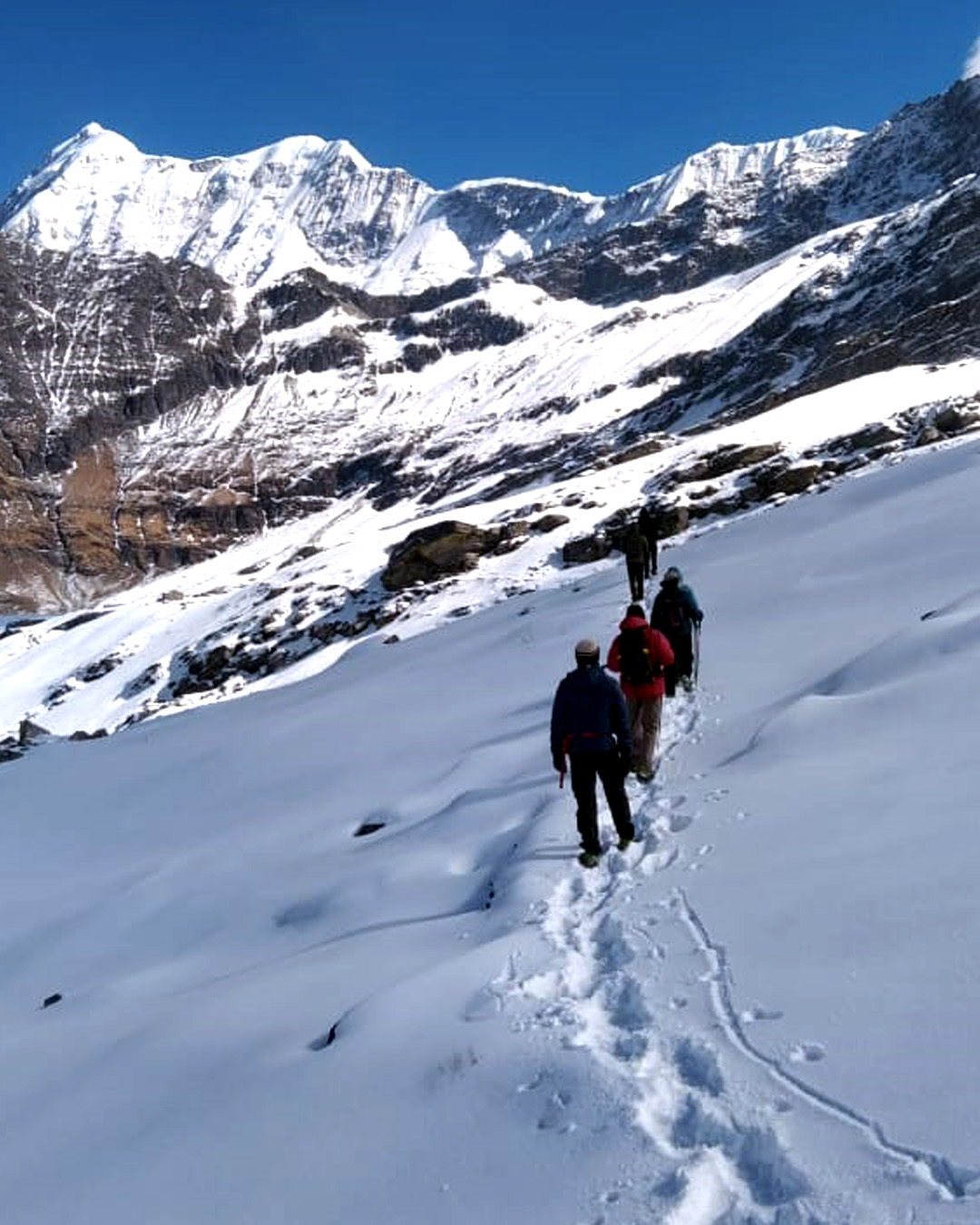 National_Himalayan_Trekking_cum_Training_Expedition_BedniBugyal_:_2024