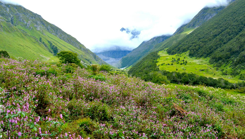NATIONAL HIMALAYAN VALLEY OF FLOWER TREKKING CUM TRANING EXPEDITION